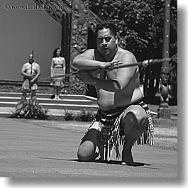 black and white, dance, maori, new zealand, square format, photograph