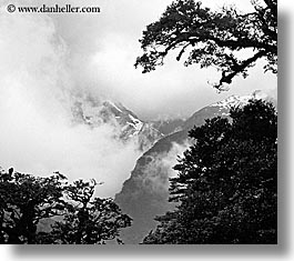 black and white, horizontal, mountains, new zealand, routeburn, trees, photograph