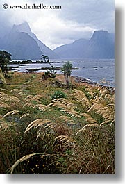 fjord, foggy, milford sound, new zealand, scenics, vertical, photograph
