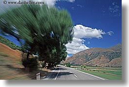 horizontal, motion blur, new zealand, roads, scenics, trees, photograph