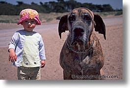 animals, beach dogs, canine, dogs, horizontal, kid, owners, photograph