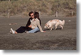 animals, beach dogs, canine, dogs, horizontal, owners, pals, photograph