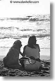 animals, beach dogs, canine, dogs, owners, pals, vertical, photograph