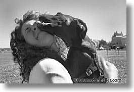 animals, black and white, ca, canine, colors, dogs, ferocious, horizontal, licks, san francisco, photograph