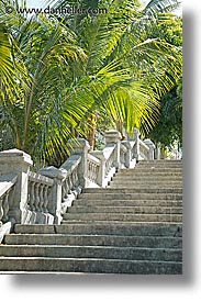bahamas, capital, capital city, caribbean, cities, island-nation, islands, nassau, nation, palms, stairs, tropics, vertical, photograph