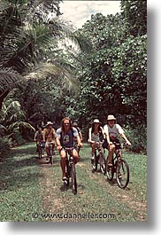 bicycles, groups, palau, people, tropics, vertical, photograph