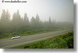 alaska, america, cars, fog, highways, horizontal, north america, trees, united states, photograph