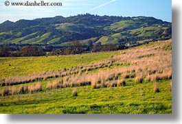 america, california, green, hills, horizontal, north america, open, scenics, sonoma, space, united states, west coast, western usa, photograph