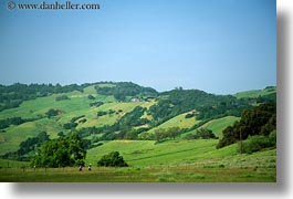 america, california, green, hikers, hills, horizontal, north america, scenics, sonoma, united states, west coast, western usa, photograph