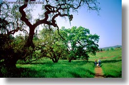 america, california, hiking, horizontal, north america, paths, scenics, sonoma, united states, west coast, western usa, photograph