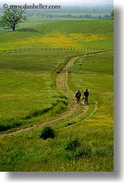 america, california, hiking, north america, paths, scenics, sonoma, united states, vertical, west coast, western usa, photograph