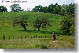 america, california, hiking, horizontal, north america, paths, scenics, sonoma, united states, west coast, western usa, photograph