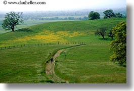 america, california, hiking, horizontal, north america, paths, scenics, sonoma, united states, west coast, western usa, photograph