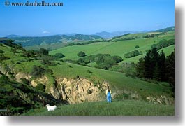 america, california, dogs, horizontal, jills, north america, scenics, sonoma, united states, viewing, west coast, western usa, photograph