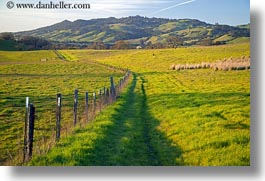 america, california, fences, fields, green, horizontal, long, north america, scenics, sonoma, united states, west coast, western usa, photograph
