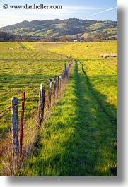 america, california, fences, fields, green, long, north america, scenics, sonoma, united states, vertical, west coast, western usa, photograph