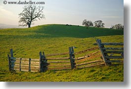 america, california, fences, fields, green, horizontal, long, north america, scenics, sonoma, united states, west coast, western usa, photograph