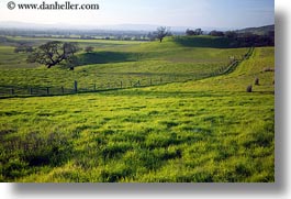 america, california, fences, fields, green, horizontal, long, north america, scenics, sonoma, united states, west coast, western usa, photograph