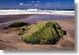 america, hawaii, horizontal, moss, north america, rocks, united states, photograph