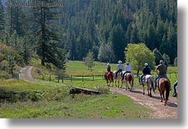activities, america, clothes, forests, hats, helmets, horizontal, horseback riding, horses, idaho, nature, north america, people, plants, red horse mountain ranch, riding, trees, united states, photograph