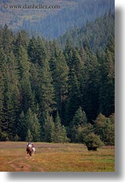 activities, america, forests, horseback riding, horses, idaho, nature, north america, people, plants, red horse mountain ranch, riding, trees, united states, vertical, photograph