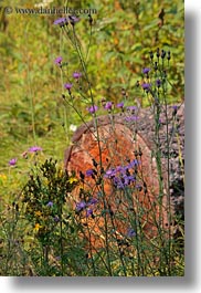 america, idaho, logs, north america, red horse mountain ranch, united states, vertical, wildflowers, photograph