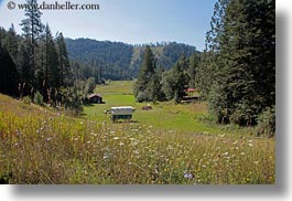 america, horizontal, idaho, north america, red horse mountain ranch, scenics, stage coach, united states, wildflowers, photograph