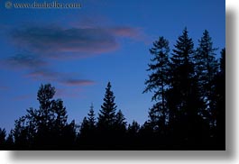 america, dusk, horizontal, idaho, north america, red horse mountain ranch, scenics, sky, trees, united states, photograph