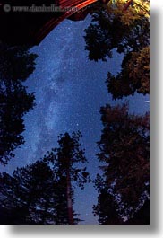 america, fisheye lens, idaho, long exposure, milky, north america, red horse mountain ranch, scenics, trees, united states, vertical, way, photograph
