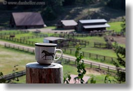 america, coffee, cups, horizontal, horses, idaho, north america, red horse mountain ranch, stables, united states, photograph