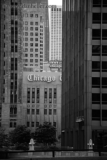 chicago tribune building. chicago-tribune-bldg-bw.jpg