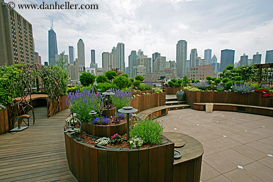 rooftop-garden-cityscape-4-big.jpg