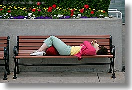 america, benches, chicago, horizontal, illinois, north america, people, reading, united states, womens, photograph
