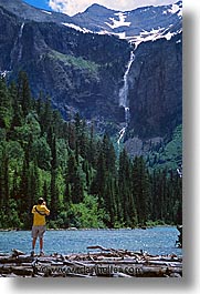 america, avalanche, avalanche trail, glaciers, lakes, montana, national parks, north america, united states, vertical, western united states, western usa, photograph
