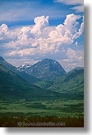 america, glaciers, montana, national parks, north america, scenics, united states, vertical, western united states, western usa, photograph