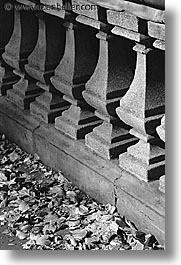america, black and white, cement, central park, leaves, new york, new york city, north america, rails, united states, vertical, photograph