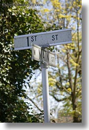 america, ashland, main, nature, north america, oregon, plants, signs, streets, trees, united states, vertical, photograph