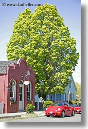 america, ashland, bricks, bug, buildings, colors, green, materials, nature, north america, oregon, plants, red, trees, united states, vertical, photograph