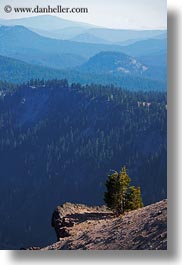 america, crater lake, landscapes, mountains, north america, oregon, overhand, trees, united states, vertical, photograph