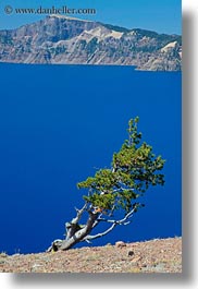 america, crater lake, lakes, north america, oregon, trees, united states, vegetation, vertical, views, photograph