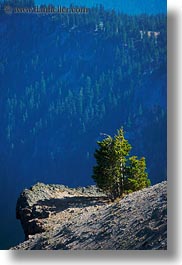 america, crater lake, north america, oregon, trees, united states, vegetation, vertical, photograph