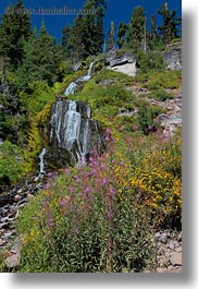 america, crater lake, flowers, north america, oregon, united states, vertical, vidae waterfalls, videa, waterfalls, photograph
