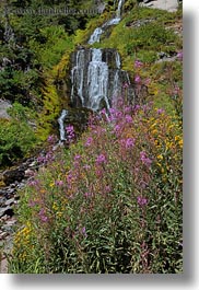 america, crater lake, flowers, north america, oregon, united states, vertical, vidae waterfalls, videa, waterfalls, photograph