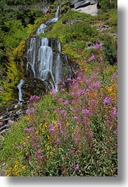 america, crater lake, flowers, north america, oregon, slow exposure, united states, vertical, vidae waterfalls, videa, waterfalls, photograph