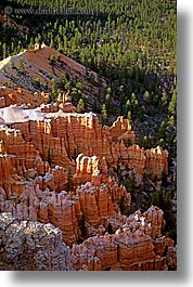 america, bryce, bryce canyon, canyons, north america, scenics, united states, utah, vertical, western usa, photograph