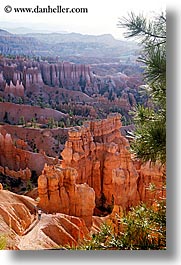 america, bryce canyon, north america, scenics, trees, united states, utah, vertical, western usa, photograph