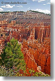 america, bryce canyon, clouds, north america, scenics, trees, united states, utah, vertical, western usa, photograph