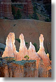 america, bryce canyon, north america, towers, trees, united states, utah, vertical, western usa, photograph