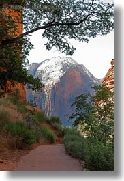 america, angels landing trail, cliffs, mountains, nature, north america, paths, united states, utah, vertical, western usa, zion, photograph