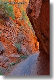 america, angels landing trail, canyons, nature, north america, paths, rocks, slot canyon, trees, united states, utah, vertical, walls, western usa, zion, photograph
